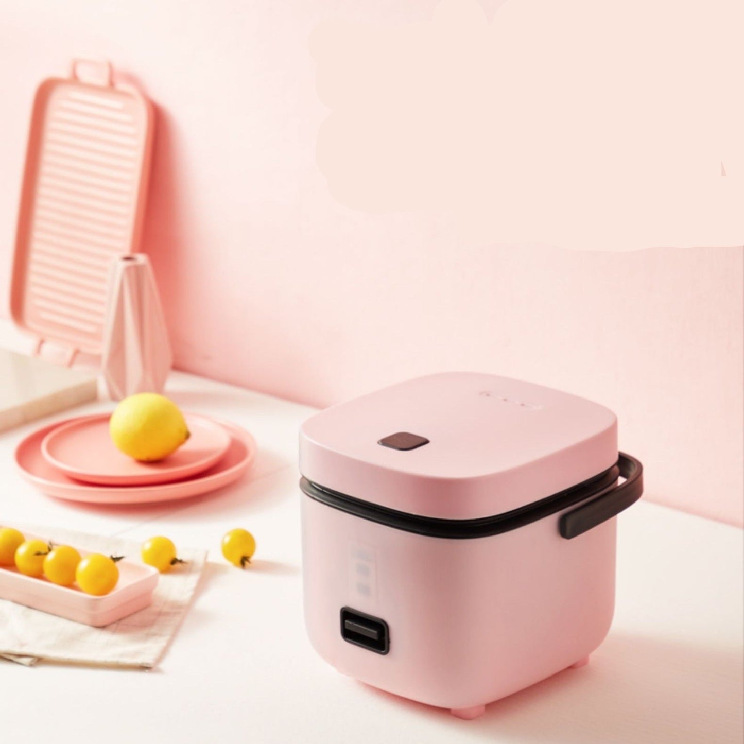 Mini Electric rice cooker Non-stick cooker for Two Household